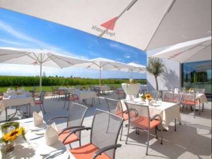 Фото: Meinl Hotel &amp;amp; Restaurant